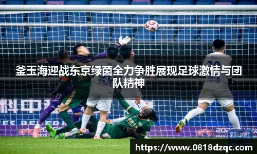 釜玉海迎战东京绿茵全力争胜展现足球激情与团队精神